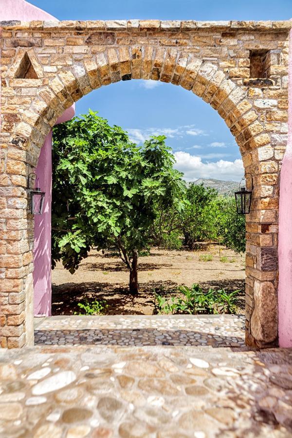 Georgilas Cave House Villa Naxos City Exteriör bild